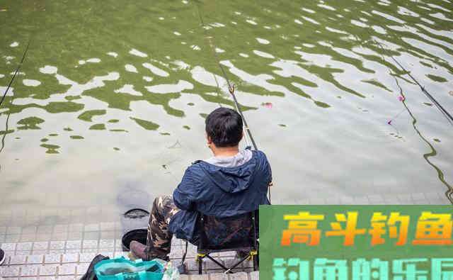 外出钓鱼被一老头教训了，不过也是心服口服