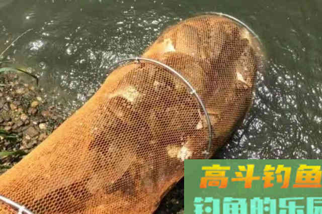 不用小药不用蚯蚓，春季垂钓我只用它