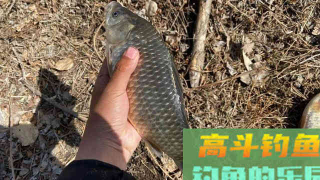 这些冬钓常识，老手必备，新手要学