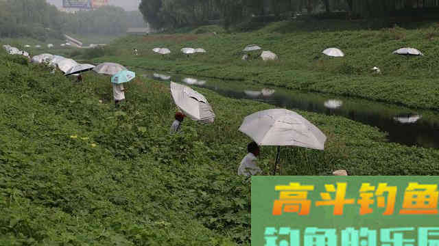 新手钓鱼遇到这五种钓点千万别错过，个个都是鱼窝