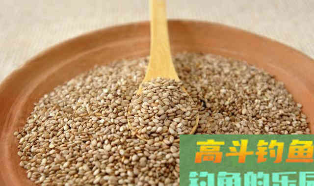 一提此物就感到香味浓郁，用它开饵钓鱼,鱼越钓越多