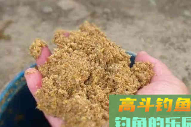 怪不得鲤鱼再大也爱吃，这饵太实用了