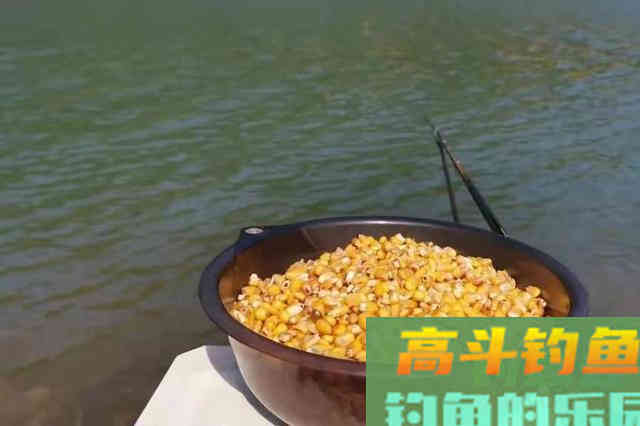 立夏前，库钓草鱼这么打窝，一根竿够你爽