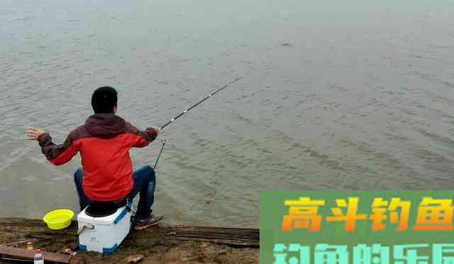 怎么买鱼竿？新手容易犯的两个错误