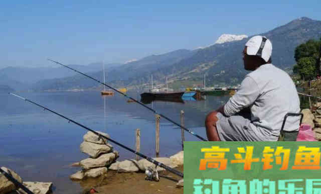 总是钓不到鱼？学会这5点，新手变高手