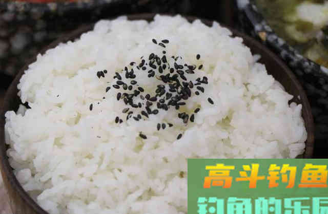 大米这么处理，用来打窝，效果比小米好