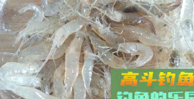 以下3种冬天鱼饵，总有一款适合你的水域