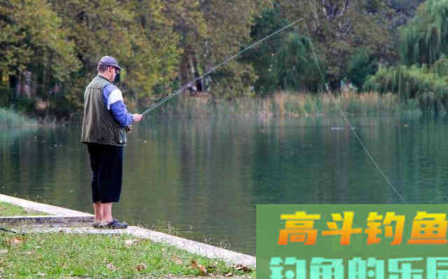 如何合理、有效的搭配鱼饵？科学用饵