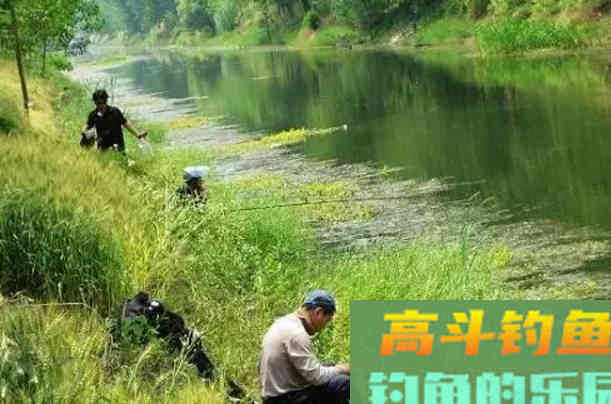 猫有毛路狗有狗道，找对鱼道，连杆爆护亦事半功倍