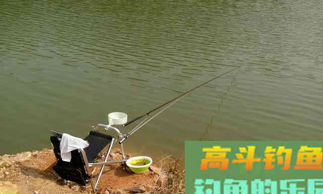 这些好吃的水果，用来钓鱼，鱼也喜欢