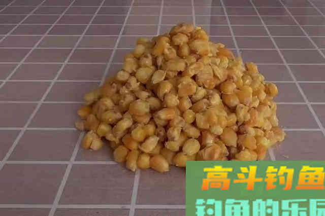 打了个大窝，还是没鱼上钩？老钓鱼人告诉你原因