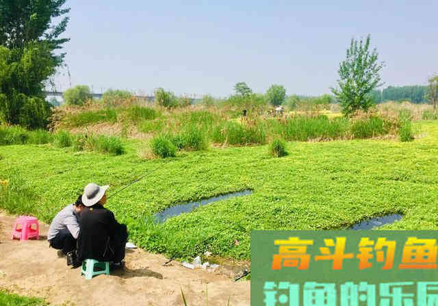 要想钓获好，到底是钓位重要还是饵料重要