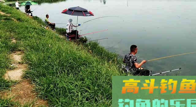 吃透这几句话，野钓时的渔获至少能多上三五条