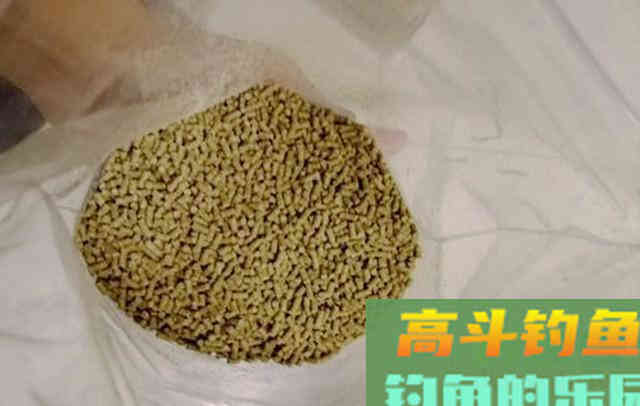 钓鱼窝料别买了，掌握制作过程和配方，在家就能做