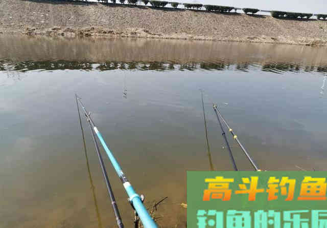 老手一根竿、新手摆地摊？错！把鱼钓上来才是王道