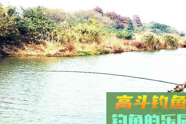 这4种钓鱼饵料，并非一无是处