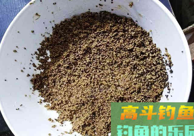 商品饵料钓鱼，为何没有宣传得那么好
