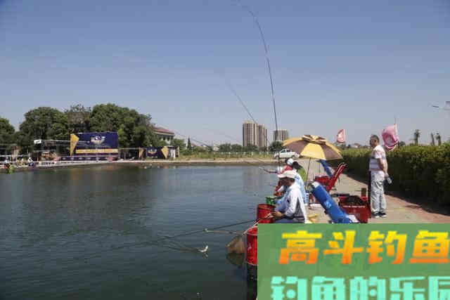 为什么钓鱼人喜欢把几种商品饵配合使用？如何看待