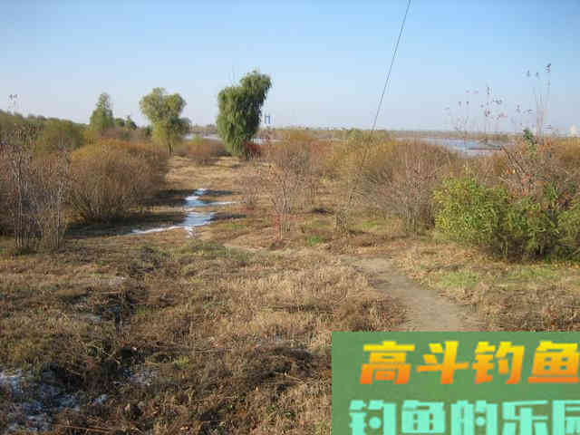 我钓鱼时常遇到的那位高手老黄，钓法出其不意