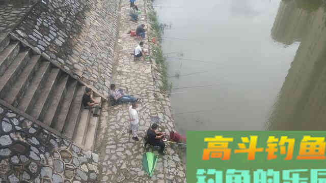 钓一会鱼儿就停口，频繁补窝也没用，试试这招