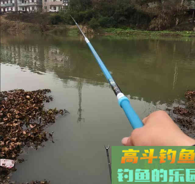 轻口鱼难钓？按我的方法做一钓一个准