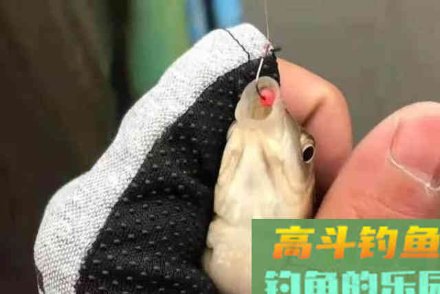 泡沫太轻，怎么比商品饵好？老司机直言：知道这用法的人少之又少
