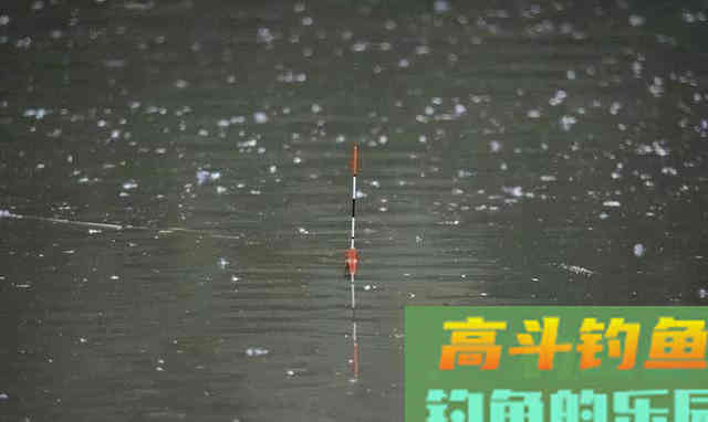 逗钓的五种常见手法，会三种就是老鸟了
