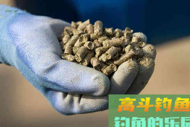 窝子里明明有鱼泡，但就是不见鱼咬钩