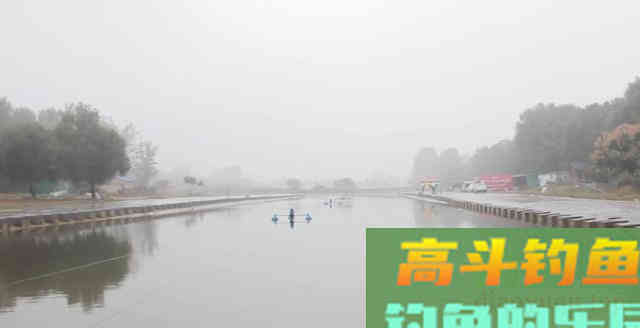 钓鱼时，肉眼能看到鱼群，但它们为什么就不上钩