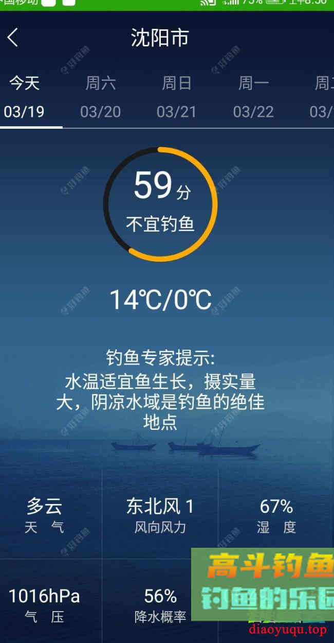 那熊学钓第72篇：灵活用饵