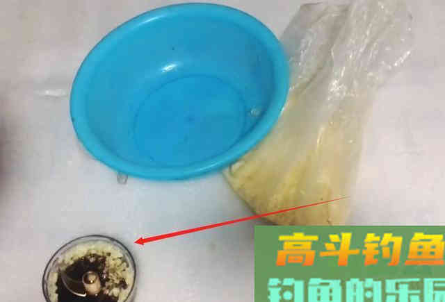 大蒜钓鲢鳙，额外加上4款料，一钓一个准