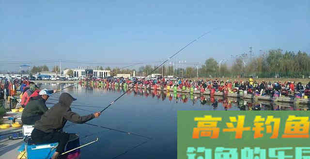 小药多放真会死窝吗？还要看用的哪一种