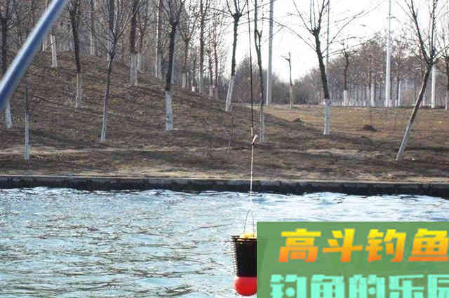 这4个问题您考虑了吗？请不要让打窝成为喂鱼