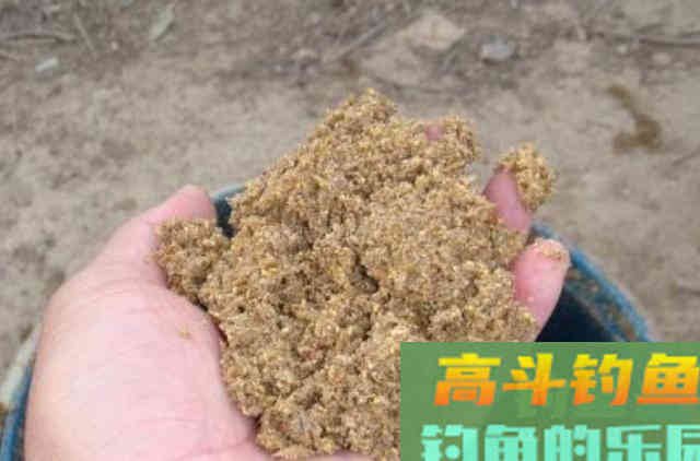 用这特效饵“对付”草鱼，效果那叫一个好