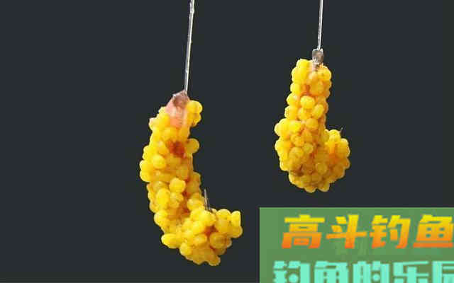 蚯蚓不鲜活，用这两个方法处理一下