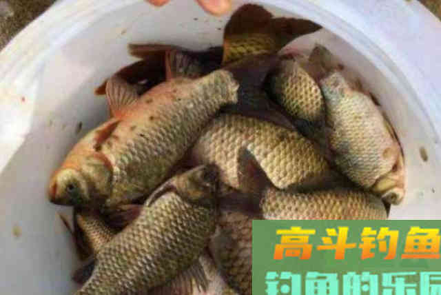 一补窝就停口该怎么办？真正的高手都会这么做