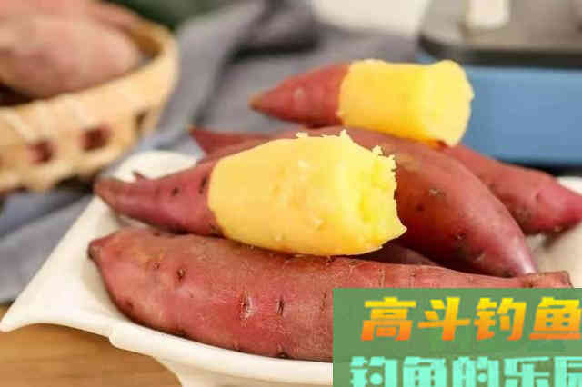 一用红薯饵就没口，老钓手回怼：这种方法我连用十五年都没失效