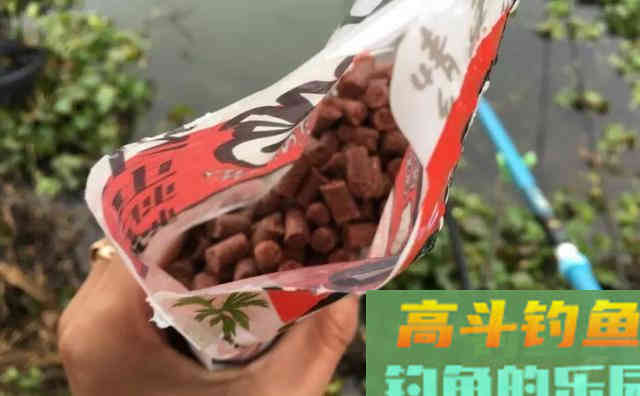 同样的装备相邻的钓位，为什么别人连杆上鱼