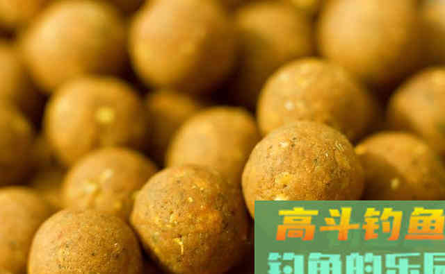 打完窝后别做这些事，否则鱼获可能会减半