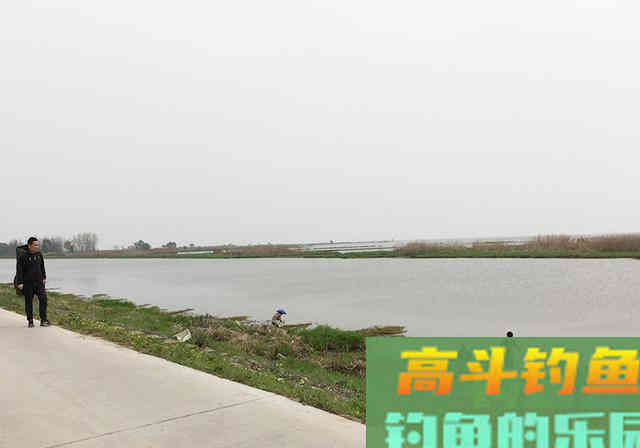 新手花600块买堆钓具，一天钓了5条鱼