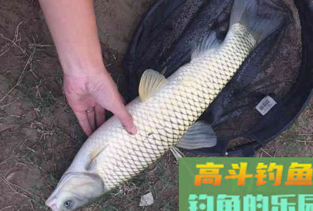 钓鱼空军，其实从你出发之前就注定了