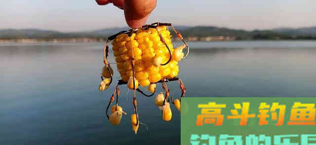 秋季野钓神饵盘点，有些钓点就能找到