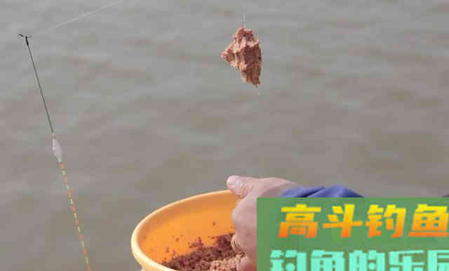 窝里没有鱼，钓技再高也白搭，教你如何搭配窝料