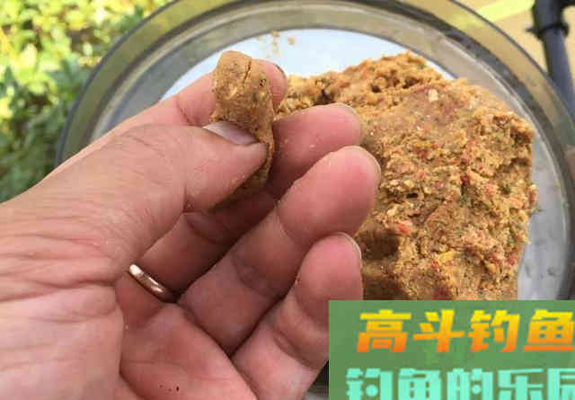 用老三样钓不到鲤鱼，需要多加一种饵