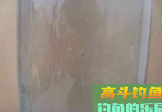 ​子线支撑力是否真的存在？别再争了，看完几组图片就能明白