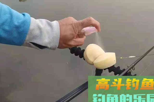 这打窝神器果然名不虚传！诱鱼快留鱼久