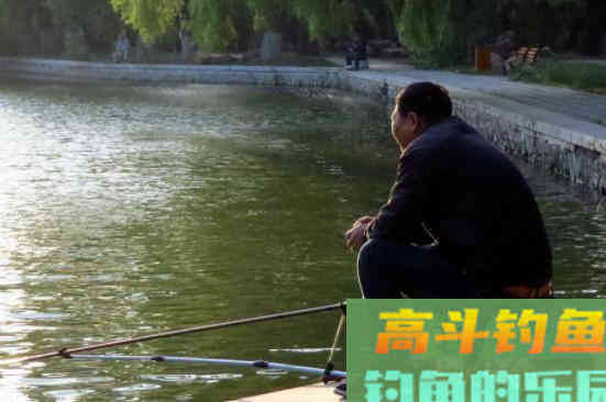 水情、鱼情不适合钓鱼该怎么办