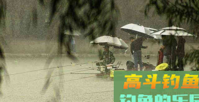 什么时候钓底什么时候钓浮？老钓友告诉你