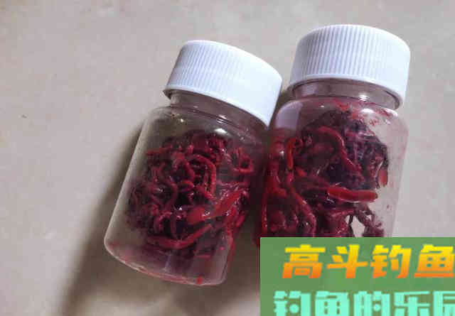 “拿假蚯蚓来钓我！你当我傻么”，用仿生饵挂钩，鱼都想骂人