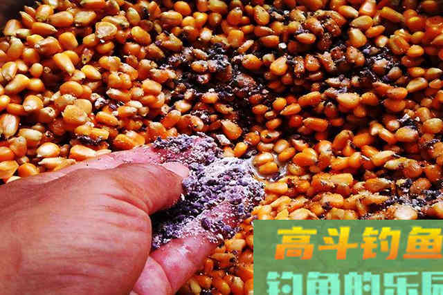 别人上鱼你不上鱼，埋怨根本没用